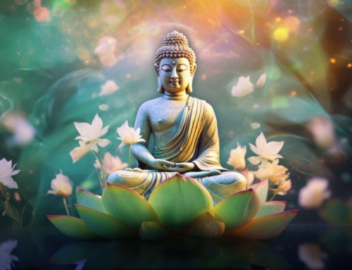 La Rinuncia: Il Cammino di Buddha